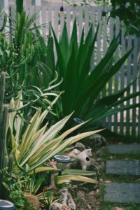 Tips for Creating a Relaxing Home Garden Space on a Budget