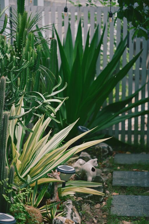 Tips for Creating a Relaxing Home Garden Space on a Budget